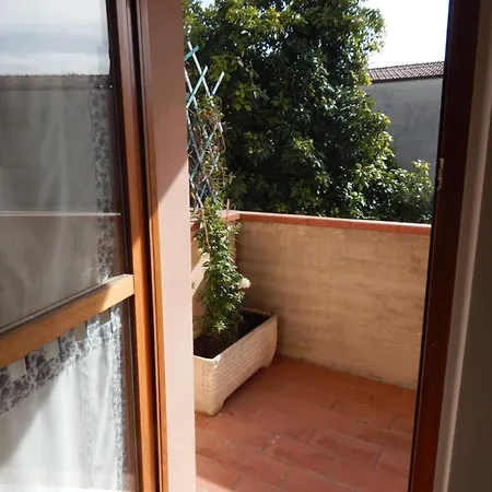 Abete Marino, * Sirolo